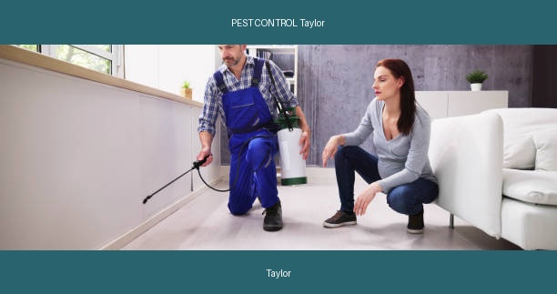 PEST CONTROL Taylor
